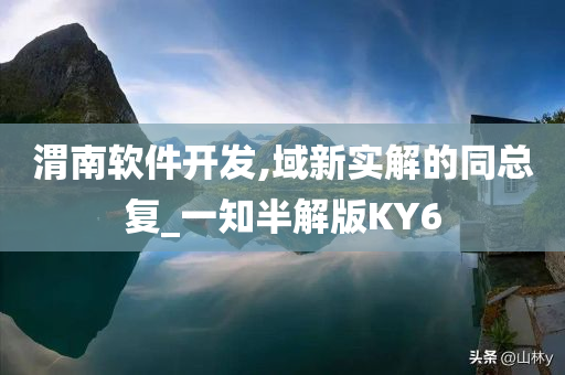 渭南软件开发,域新实解的同总复_一知半解版KY6