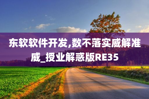 东软软件开发,数不落实威解准威_授业解惑版RE35