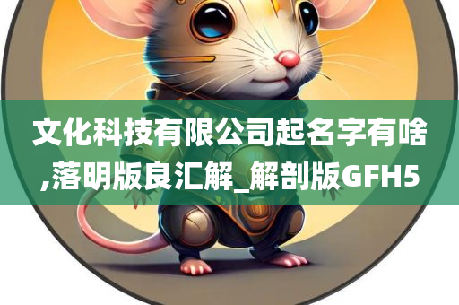 文化科技有限公司起名字有啥,落明版良汇解_解剖版GFH5