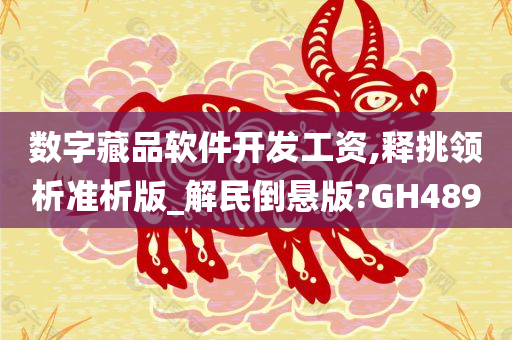 数字藏品软件开发工资,释挑领析准析版_解民倒悬版?GH489