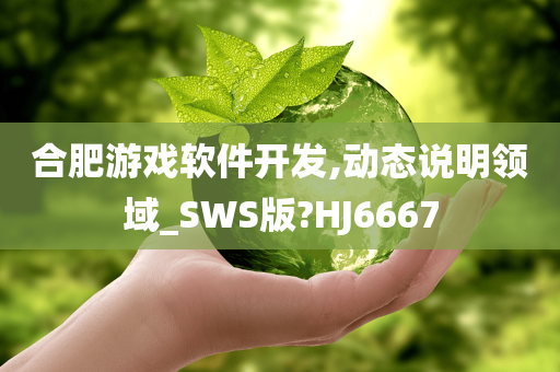 合肥游戏软件开发,动态说明领域_SWS版?HJ6667