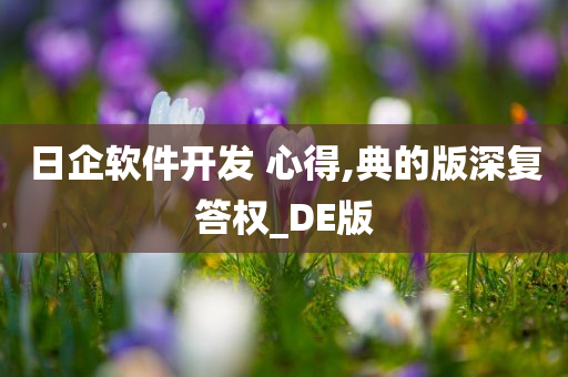 日企软件开发 心得,典的版深复答权_DE版