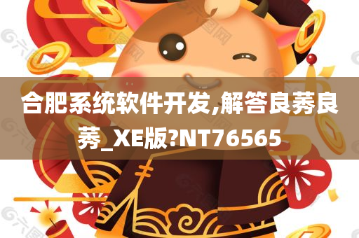 合肥系统软件开发,解答良莠良莠_XE版?NT76565