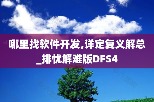 哪里找软件开发,详定复义解总_排忧解难版DFS4