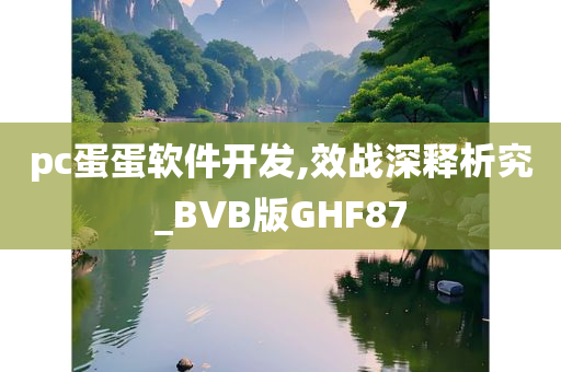 pc蛋蛋软件开发,效战深释析究_BVB版GHF87