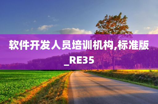 软件开发人员培训机构,标准版_RE35