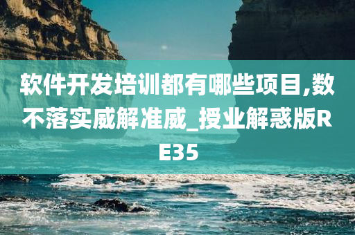 软件开发培训都有哪些项目,数不落实威解准威_授业解惑版RE35