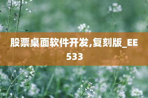 股票桌面软件开发,复刻版_EE533