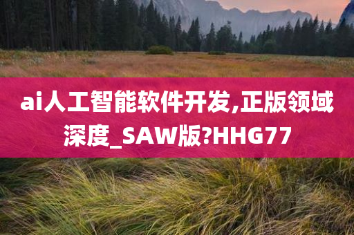 ai人工智能软件开发,正版领域深度_SAW版?HHG77