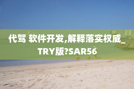 代驾 软件开发,解释落实权威_TRY版?SAR56