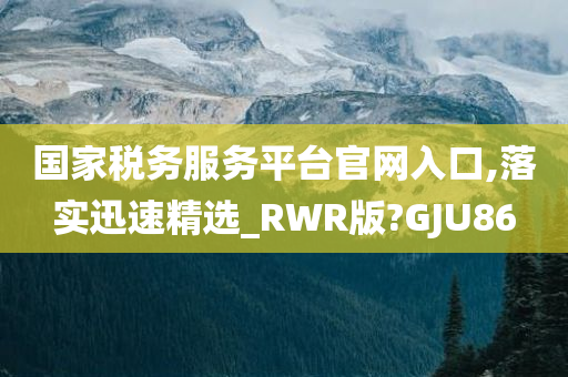 国家税务服务平台官网入口,落实迅速精选_RWR版?GJU86