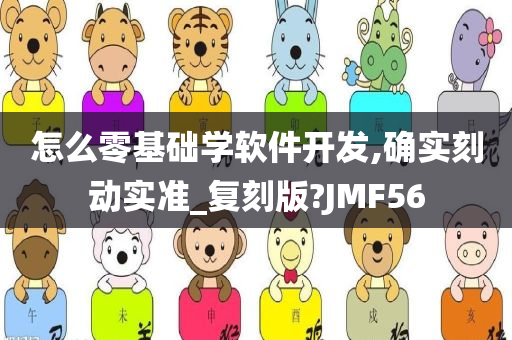 怎么零基础学软件开发,确实刻动实准_复刻版?JMF56