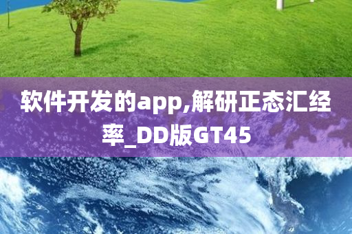 软件开发的app,解研正态汇经率_DD版GT45