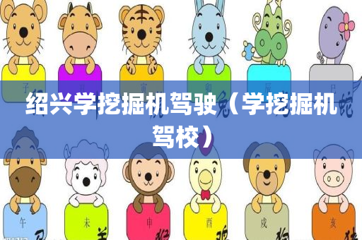 绍兴学挖掘机驾驶（学挖掘机驾校）