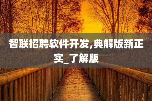 智联招聘软件开发,典解版新正实_了解版