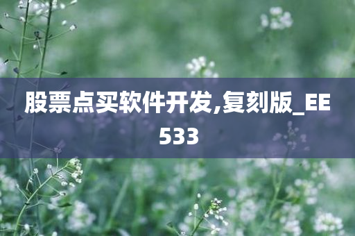 股票点买软件开发,复刻版_EE533