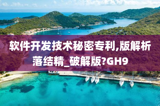 软件开发技术秘密专利,版解析落结精_破解版?GH9