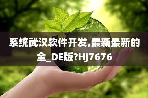 系统武汉软件开发,最新最新的全_DE版?HJ7676