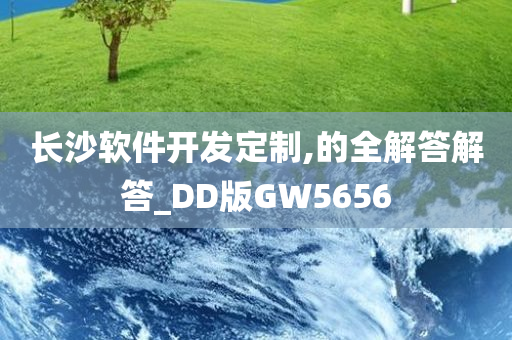 长沙软件开发定制,的全解答解答_DD版GW5656