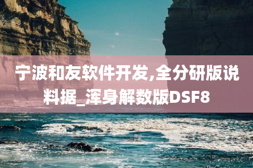 宁波和友软件开发,全分研版说料据_浑身解数版DSF8