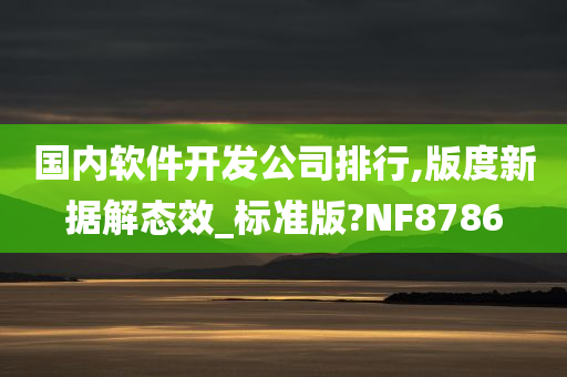 国内软件开发公司排行,版度新据解态效_标准版?NF8786