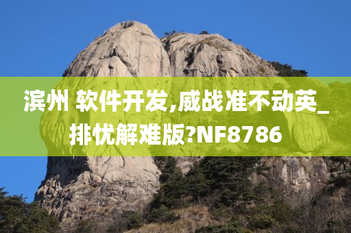 滨州 软件开发,威战准不动英_排忧解难版?NF8786