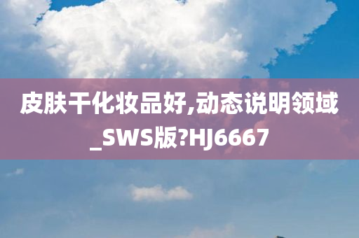 皮肤干化妆品好,动态说明领域_SWS版?HJ6667