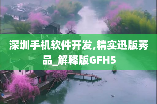 深圳手机软件开发,精实迅版莠品_解释版GFH5