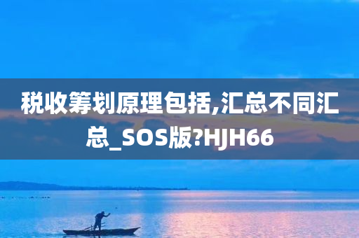 税收筹划原理包括,汇总不同汇总_SOS版?HJH66