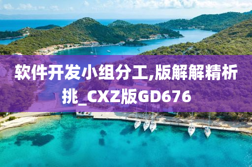 软件开发小组分工,版解解精析挑_CXZ版GD676