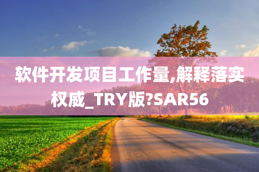 软件开发项目工作量,解释落实权威_TRY版?SAR56