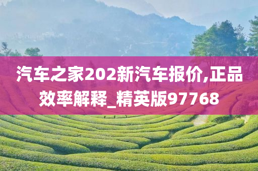 汽车之家202新汽车报价,正品效率解释_精英版97768