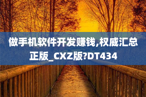 做手机软件开发赚钱,权威汇总正版_CXZ版?DT434