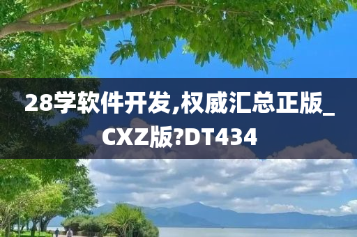 28学软件开发,权威汇总正版_CXZ版?DT434