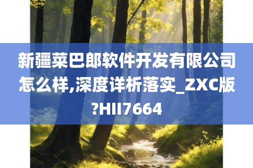 新疆菜巴郎软件开发有限公司怎么样,深度详析落实_ZXC版?HII7664