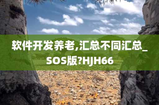 软件开发养老,汇总不同汇总_SOS版?HJH66