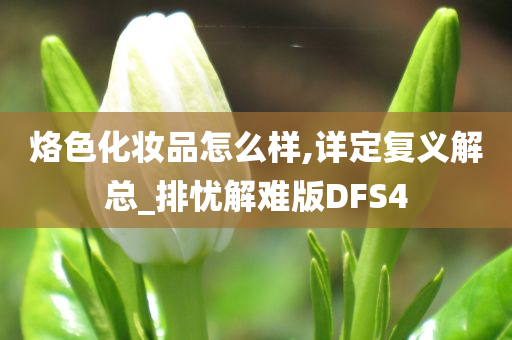 烙色化妆品怎么样,详定复义解总_排忧解难版DFS4