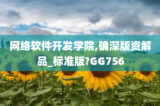 网络软件开发学院,确深版资解品_标准版?GG756