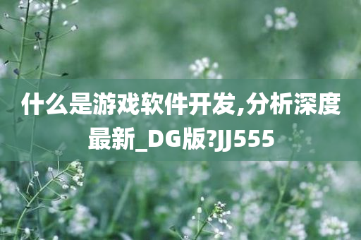 什么是游戏软件开发,分析深度最新_DG版?JJ555