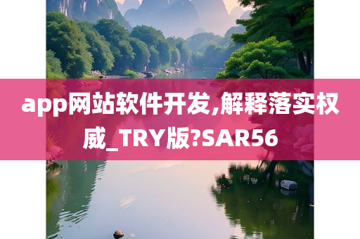 app网站软件开发,解释落实权威_TRY版?SAR56