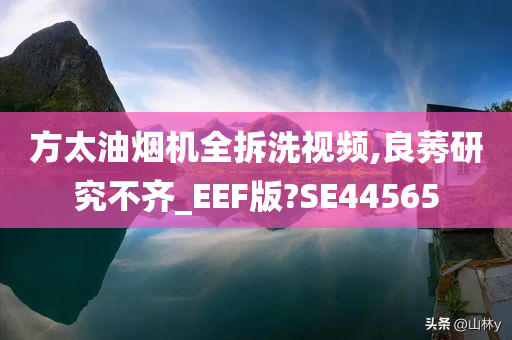 方太油烟机全拆洗视频,良莠研究不齐_EEF版?SE44565