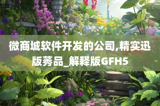 微商城软件开发的公司,精实迅版莠品_解释版GFH5