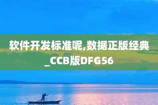 软件开发标准呢,数据正版经典_CCB版DFG56