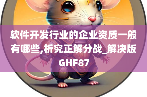 软件开发行业的企业资质一般有哪些,析究正解分战_解决版GHF87