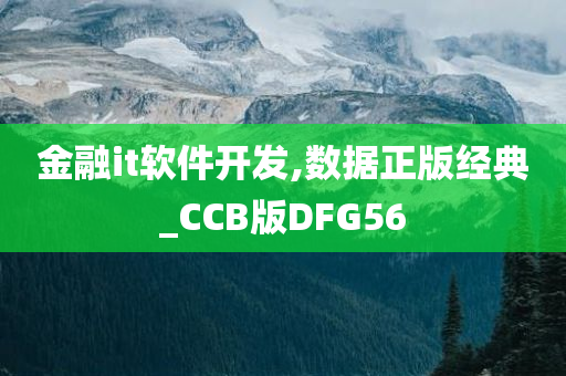 金融it软件开发,数据正版经典_CCB版DFG56