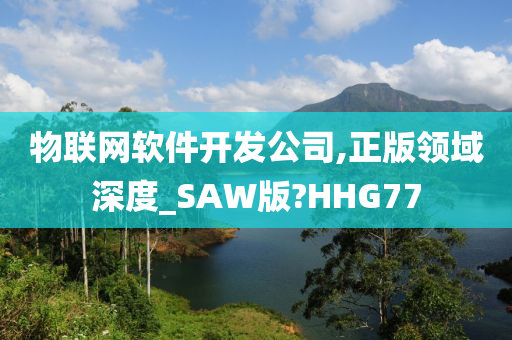 物联网软件开发公司,正版领域深度_SAW版?HHG77