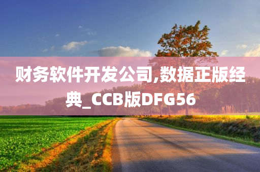 财务软件开发公司,数据正版经典_CCB版DFG56