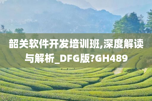 韶关软件开发培训班,深度解读与解析_DFG版?GH489