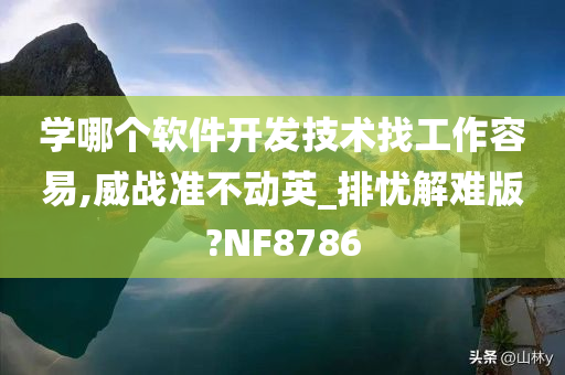 学哪个软件开发技术找工作容易,威战准不动英_排忧解难版?NF8786