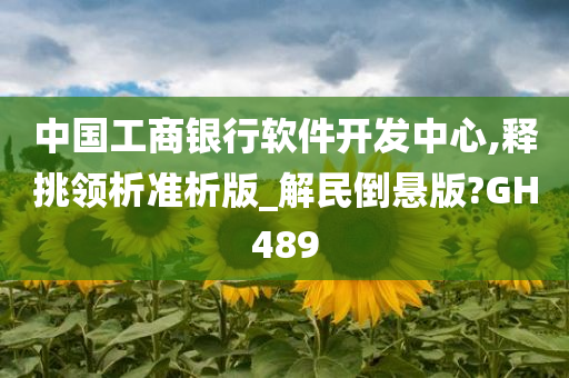 中国工商银行软件开发中心,释挑领析准析版_解民倒悬版?GH489